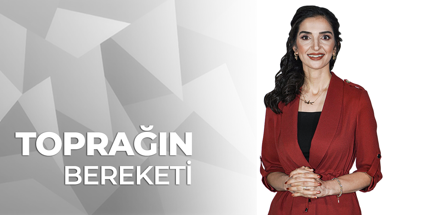 TOPRAĞIN BEREKETİ